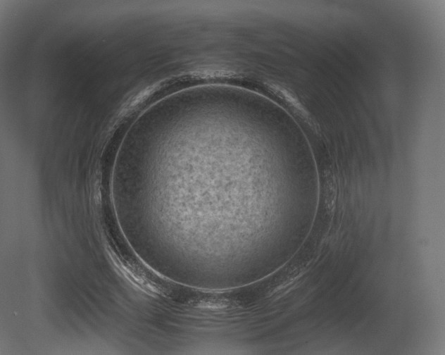 X0000081410631200701121210