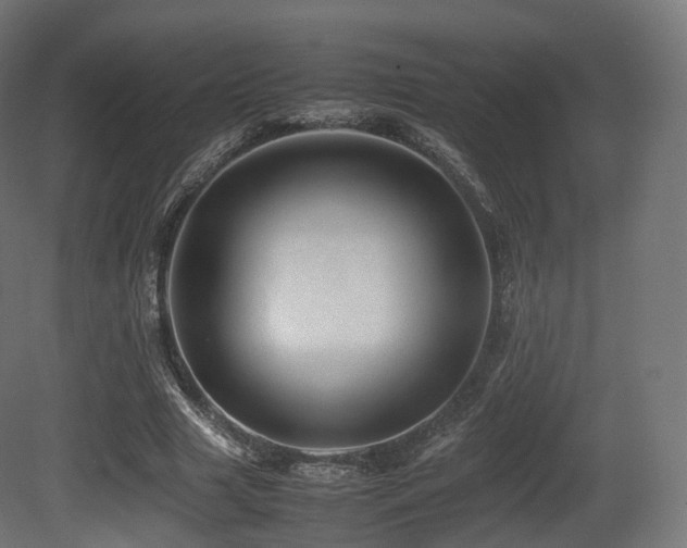 X0000081410633200701121210