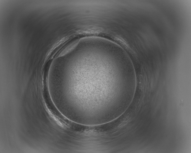 X0000081410634200701121210
