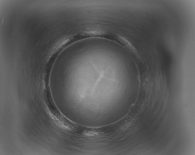 X0000081410635200701121210