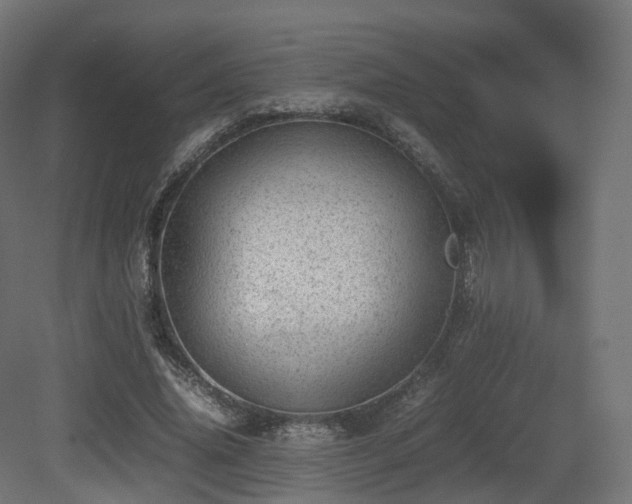 X0000081410636200701121210