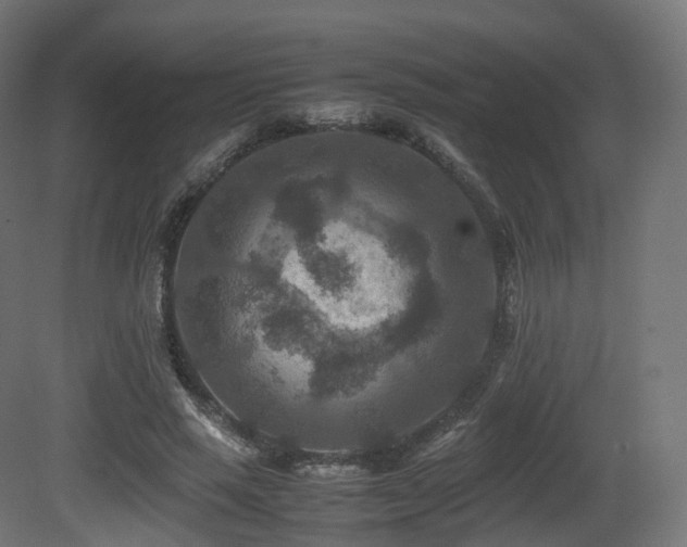X0000081410637200701121210