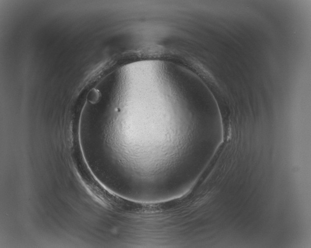 X0000081410638200701121210