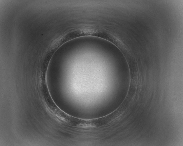 X0000081410639200701121210