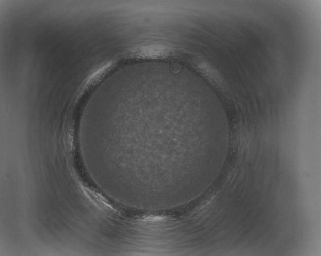 X0000081410640200701121210