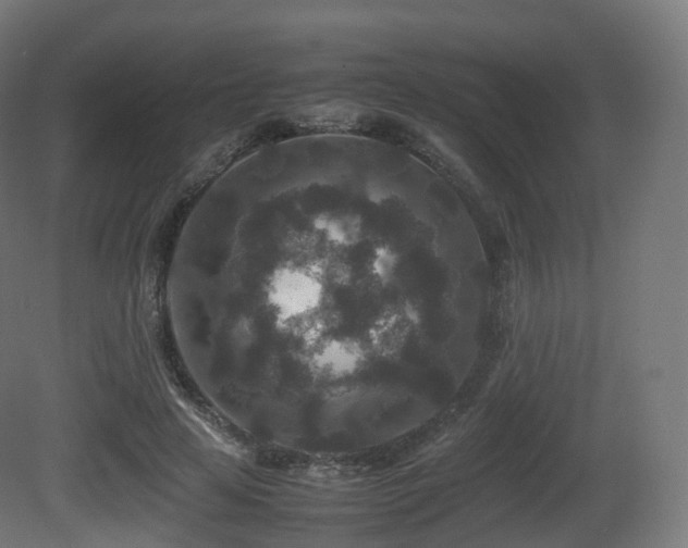 X0000081410641200701121210