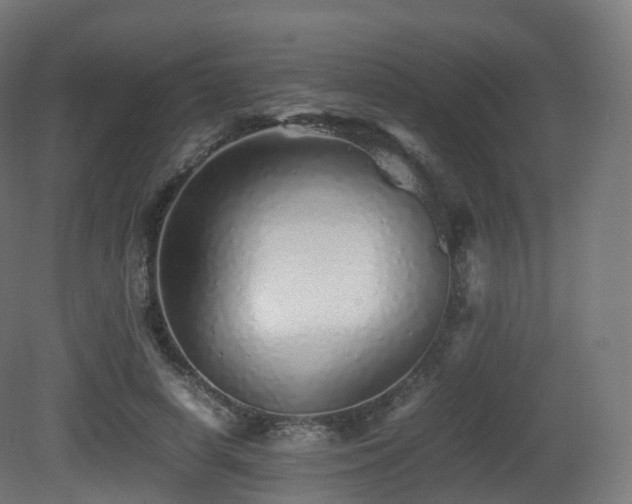 X0000081410642200701121210