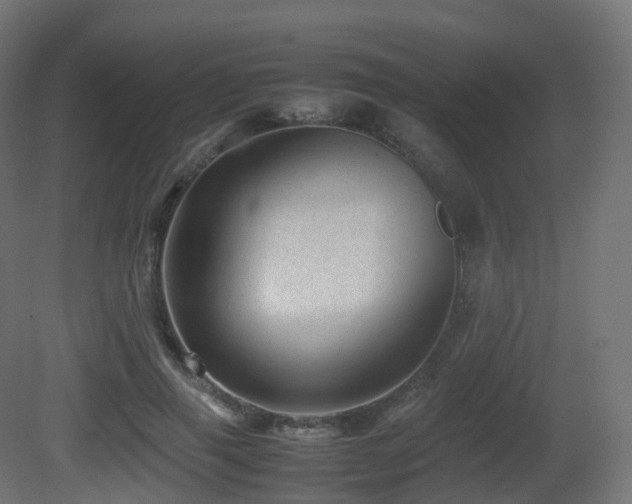 X0000081410645200701121210