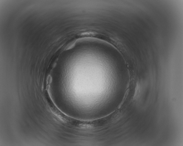 X0000081410649200701121210