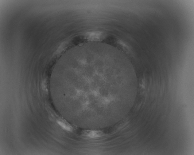 X0000081410663200701121210