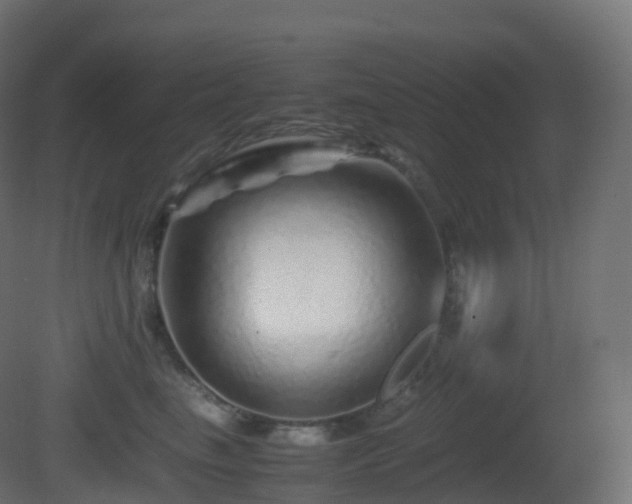 X0000081410665200701121210