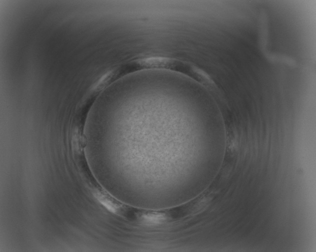 X0000081410669200701121211