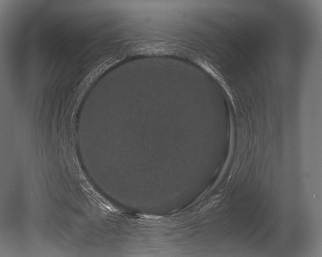 X0000081410673200701121210