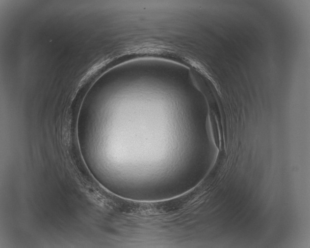 X0000081410675200701121210