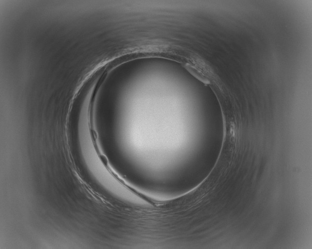 X0000081410676200701121210