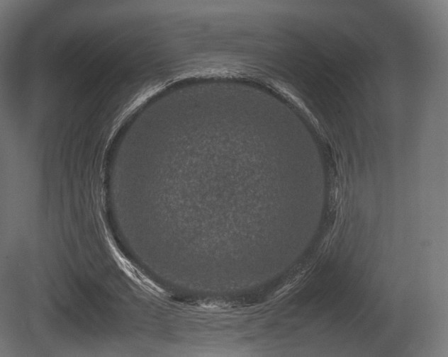 X0000081410677200701121210