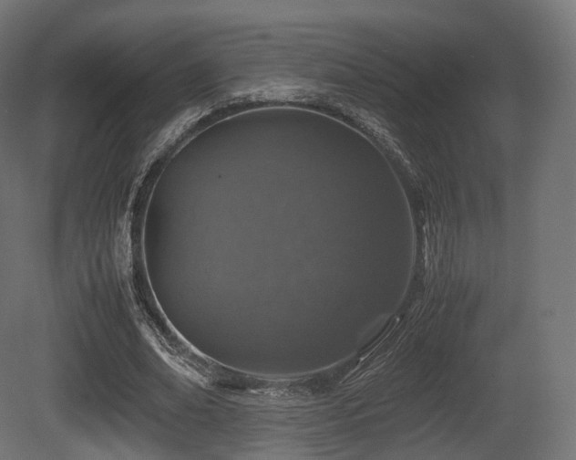 X0000081410678200701121210