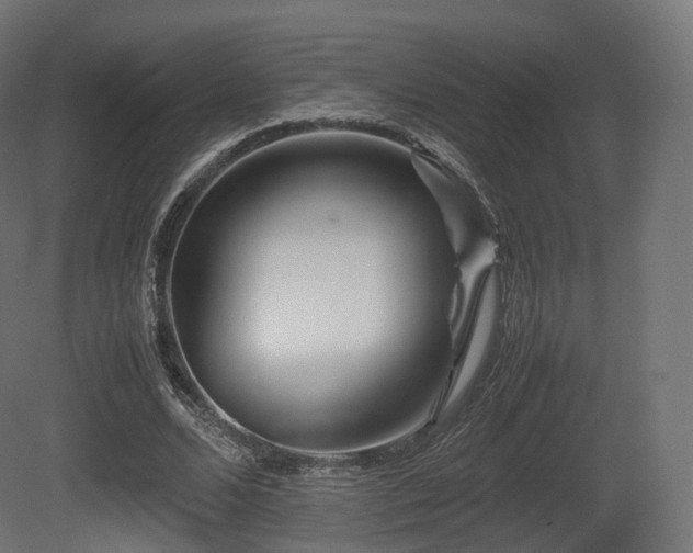 X0000081410680200701121210
