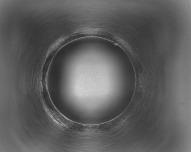 X0000081410682200701121210