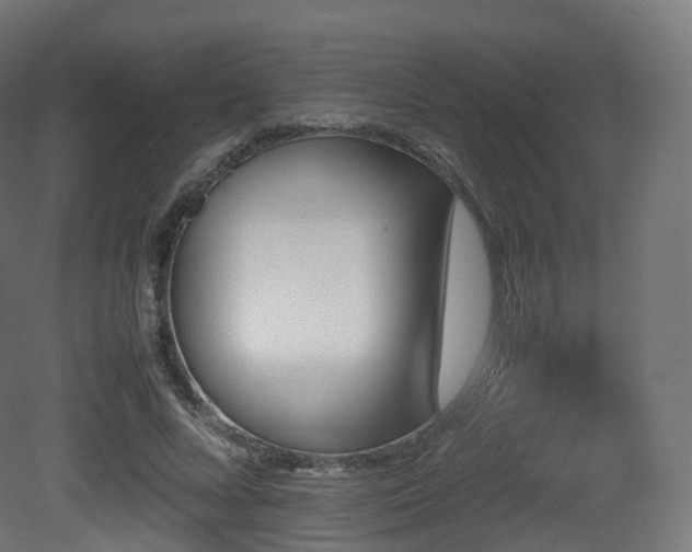 X0000081410688200701121210