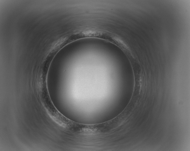 X0000081410690200701121210