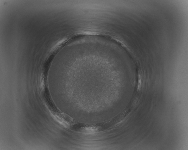 X0000081410692200701121209
