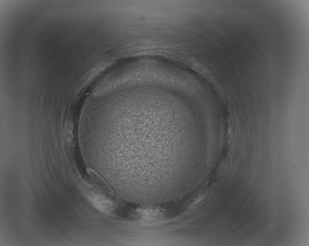 X0000081410693200701121209