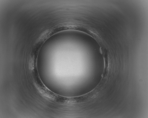 X0000081410694200701121209