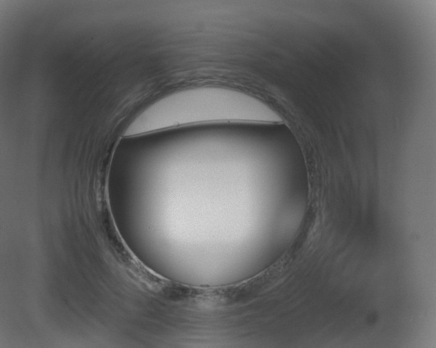 X0000081410696200701121209