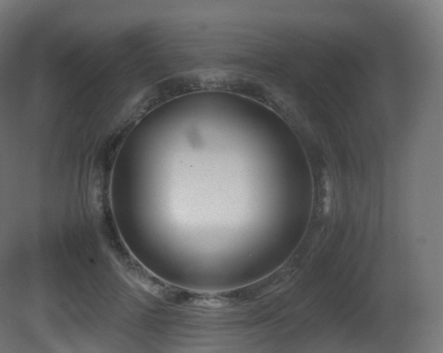 X0000081410698200701121209