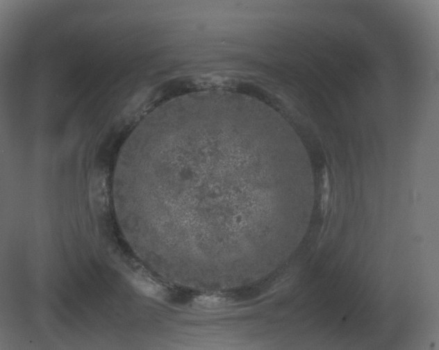 X0000081410699200701121209