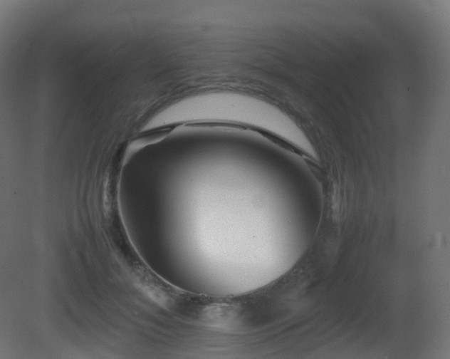 X0000081410700200701121209