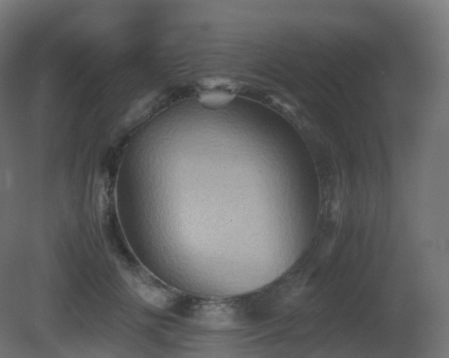 X0000081410702200701121209