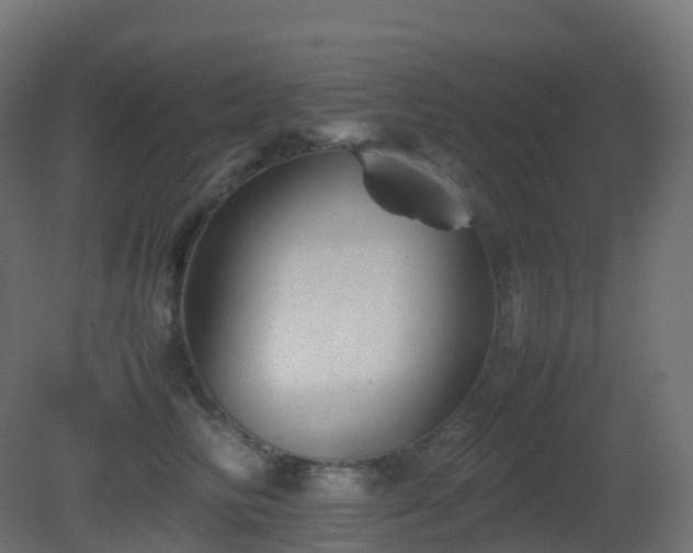 X0000081410710200701121209