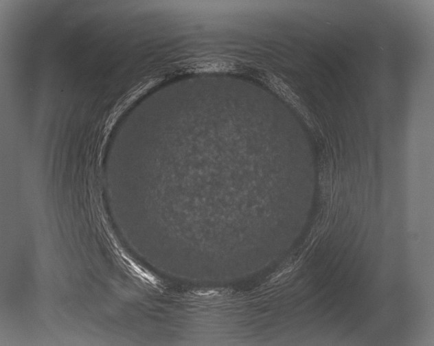 X0000081410721200701121208