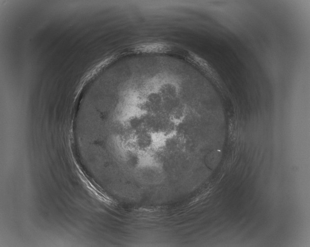 X0000081410725200701121208