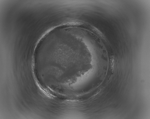 X0000081410726200701121208