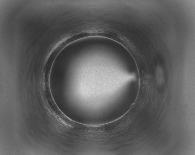 X0000081410727200701121208