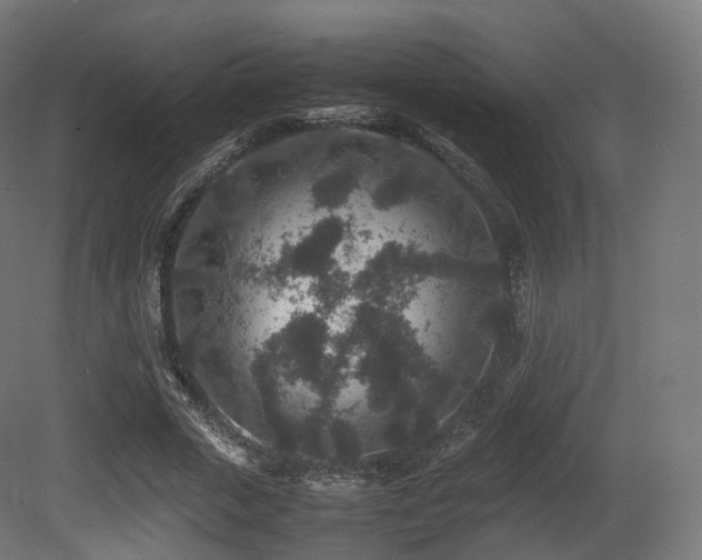 X0000081410729200701121208