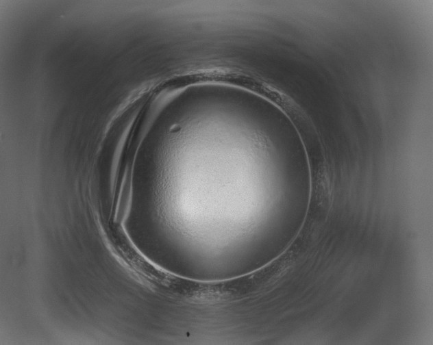 X0000081410734200701121208