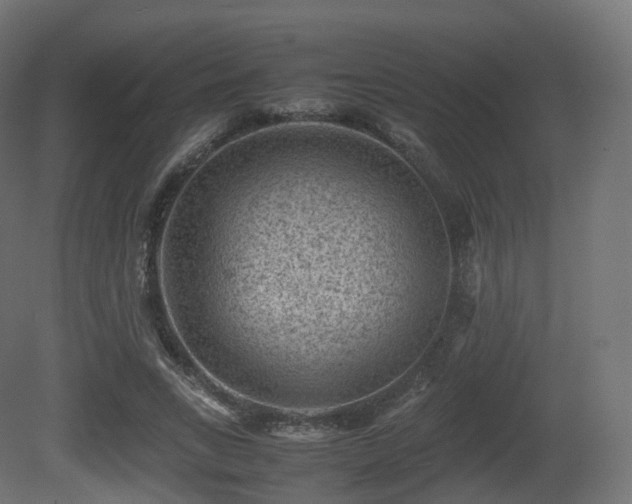 X0000081410735200701121208