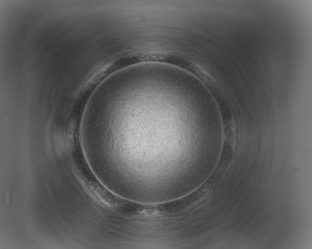 X0000081410742200701121209