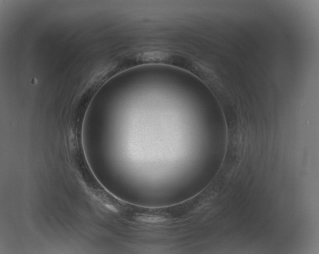X0000081410743200701121209