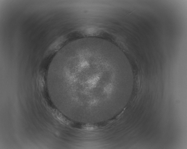 X0000081410746200701121209
