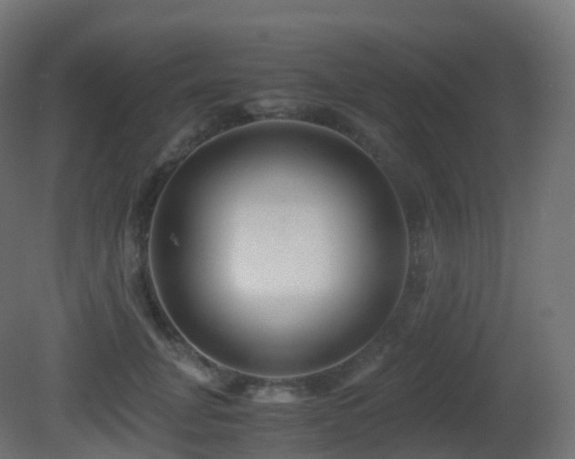 X0000081410751200701121209
