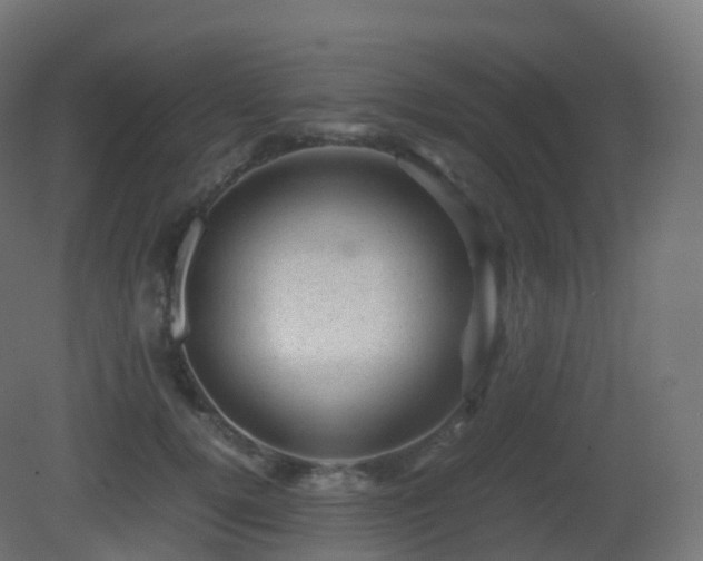 X0000081410752200701121209