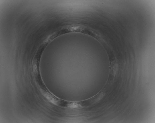 X0000081410754200701121209