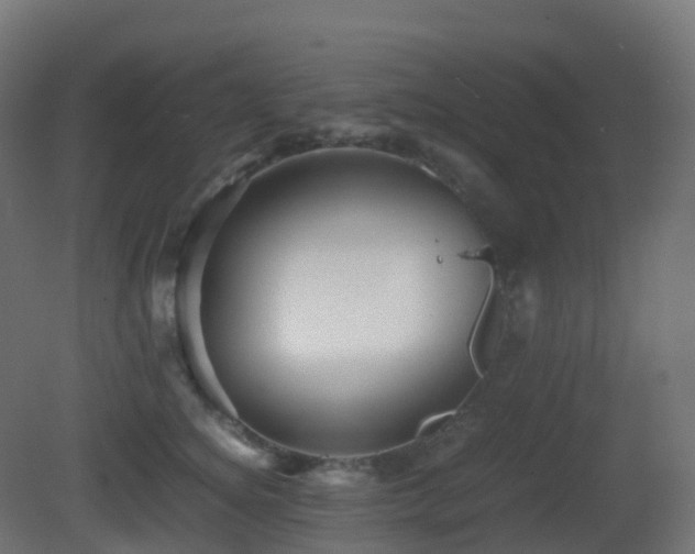 X0000081410756200701121209
