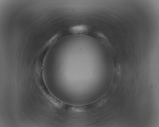 X0000081410763200701121209