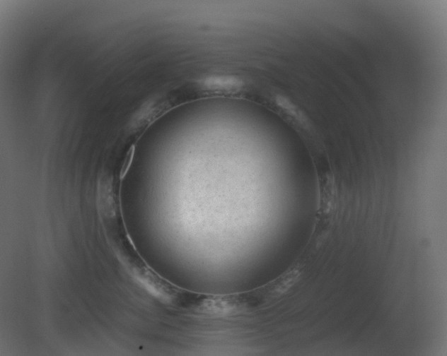 X0000081410764200701121209
